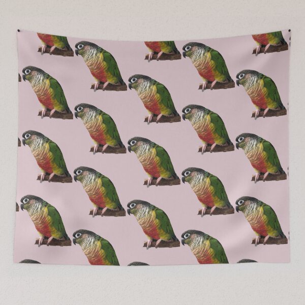Item preview, Green Cheek Conure design | Conure | Small Parrot | Parakeet | Parrot lover designed and sold by TatianaLG.