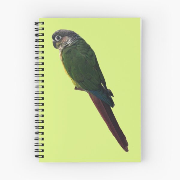 Item preview, Green Cheek Conure design | Conure | Small Parrot | Parakeet | Parrot lover designed and sold by TatianaLG.