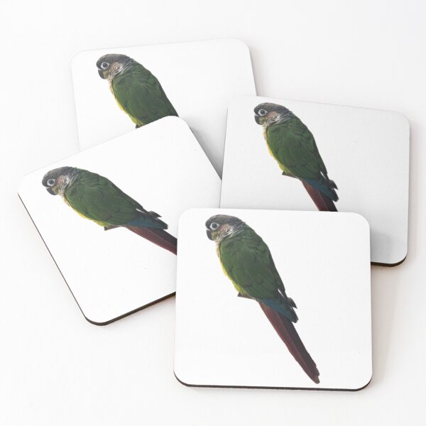 Item preview, Green Cheek Conure design | Conure | Small Parrot | Parakeet | Parrot lover designed and sold by TatianaLG.