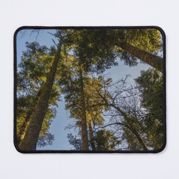 Item preview, Looking Up designed and sold by OskiOnTour.