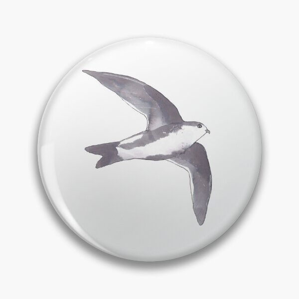 Artikelvorschau, White-throated Swift wilde Vogelart Aquarellkunst entworfen und verkauft von TheWaterBirds.