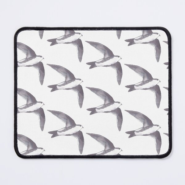 Item preview, White-throated Swift wild bird species watercolor art designed and sold by TheWaterBirds.