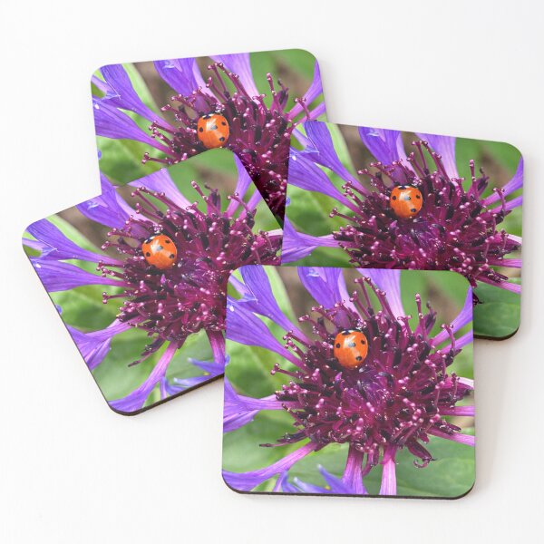Item preview, Purple Flower With Ladybird Ladybug Nature Photo Design designed and sold by TacoRose.