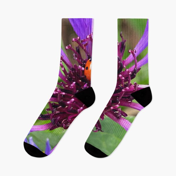 Item preview, Purple Flower With Ladybird Ladybug Nature Photo Design designed and sold by TacoRose.