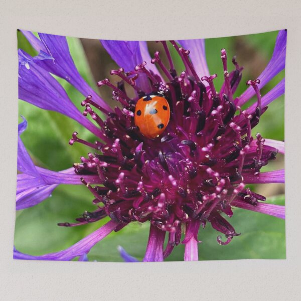 Item preview, Purple Flower With Ladybird Ladybug Nature Photo Design designed and sold by TacoRose.