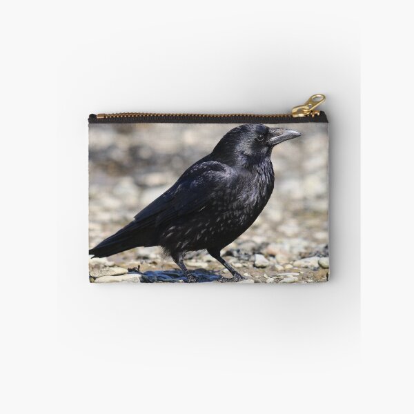 Item preview, Corvus corone designed and sold by GreyFeatherPhot.
