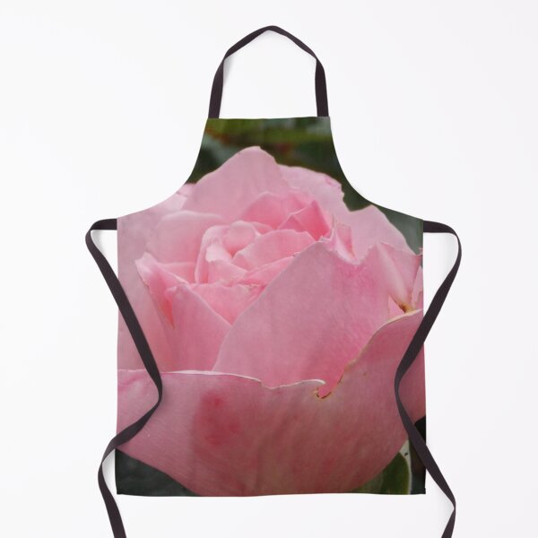 Item preview, Beautiful Light Pink Rose Photography by BranaghBel designed and sold by branaghbel.