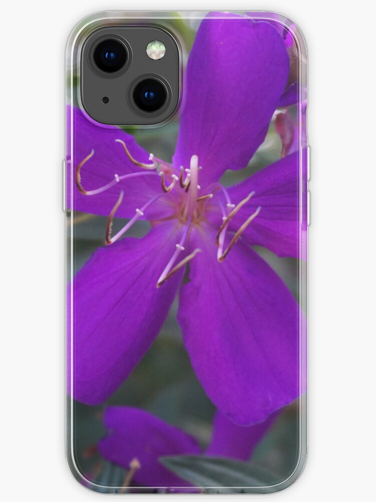 Funda de iPhone «Flor morada oscura con aguijón» de vivekananda345 |  Redbubble