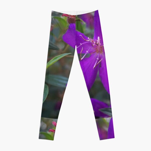 STING Aurora Coral Leggings-Mint Green – STING Australiaᵀᴹ