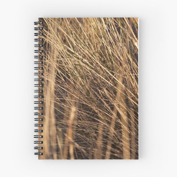 Item preview, marram grass, st cyrus designed and sold by codaimages.
