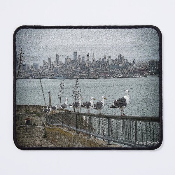 Item preview, Seabirds Of Alcatraz designed and sold by RiverDeeDesigns.