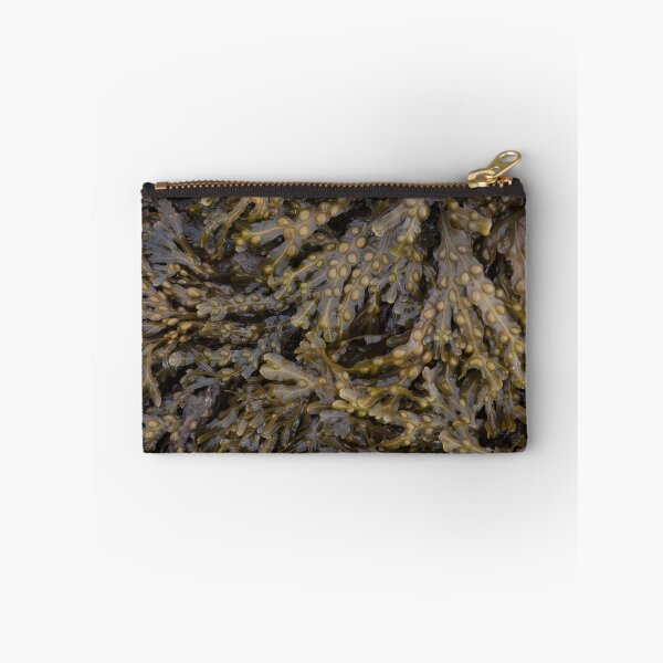 Item preview, seaweed designed and sold by codaimages.
