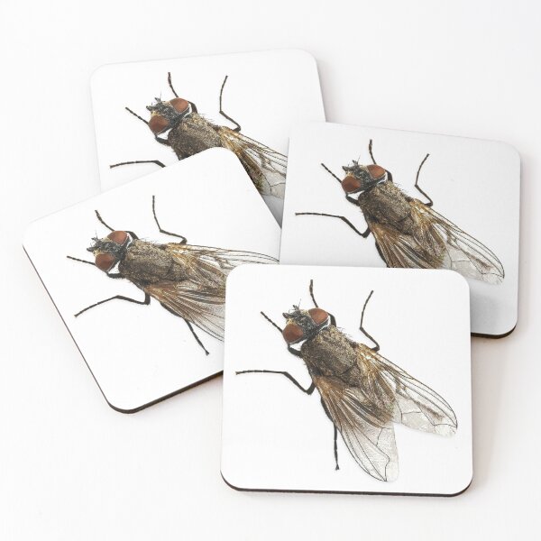 Item preview, The Fly designed and sold by Wilcox PhotoArt.