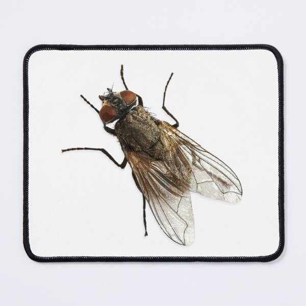 Item preview, The Fly designed and sold by Wilcox PhotoArt.