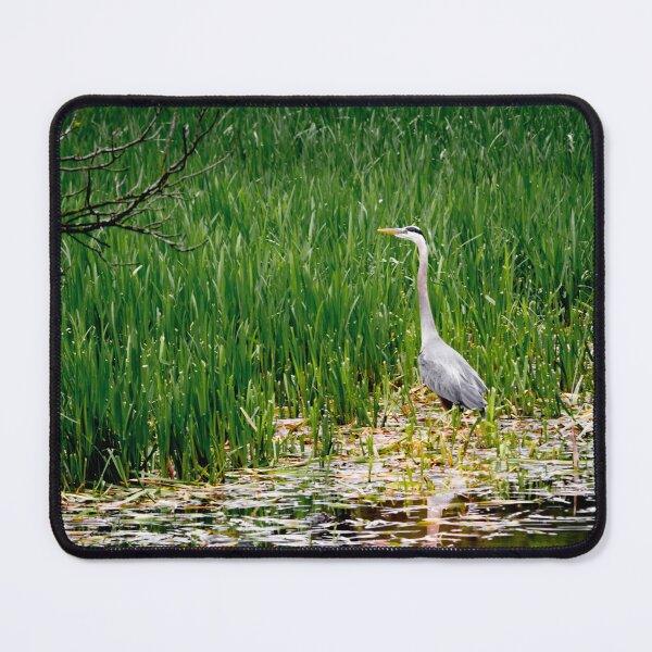 Item preview, Blue Heron designed and sold by Robert Alsop.