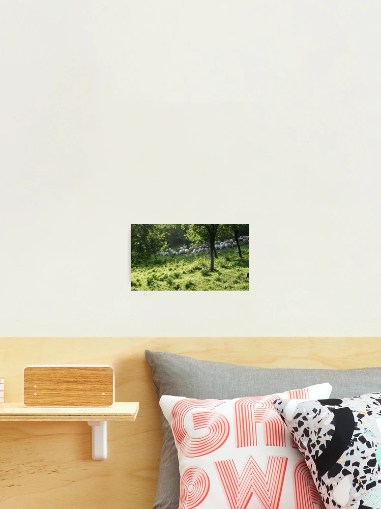 Thumbnail 2 of 3, Photographic Print, Spring time designed and sold by Ana Belaj.