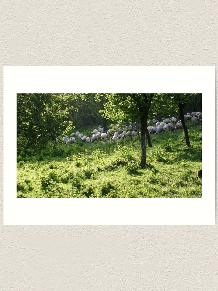 Thumbnail 1 of 3, Art Print, Spring time designed and sold by Ana Belaj.