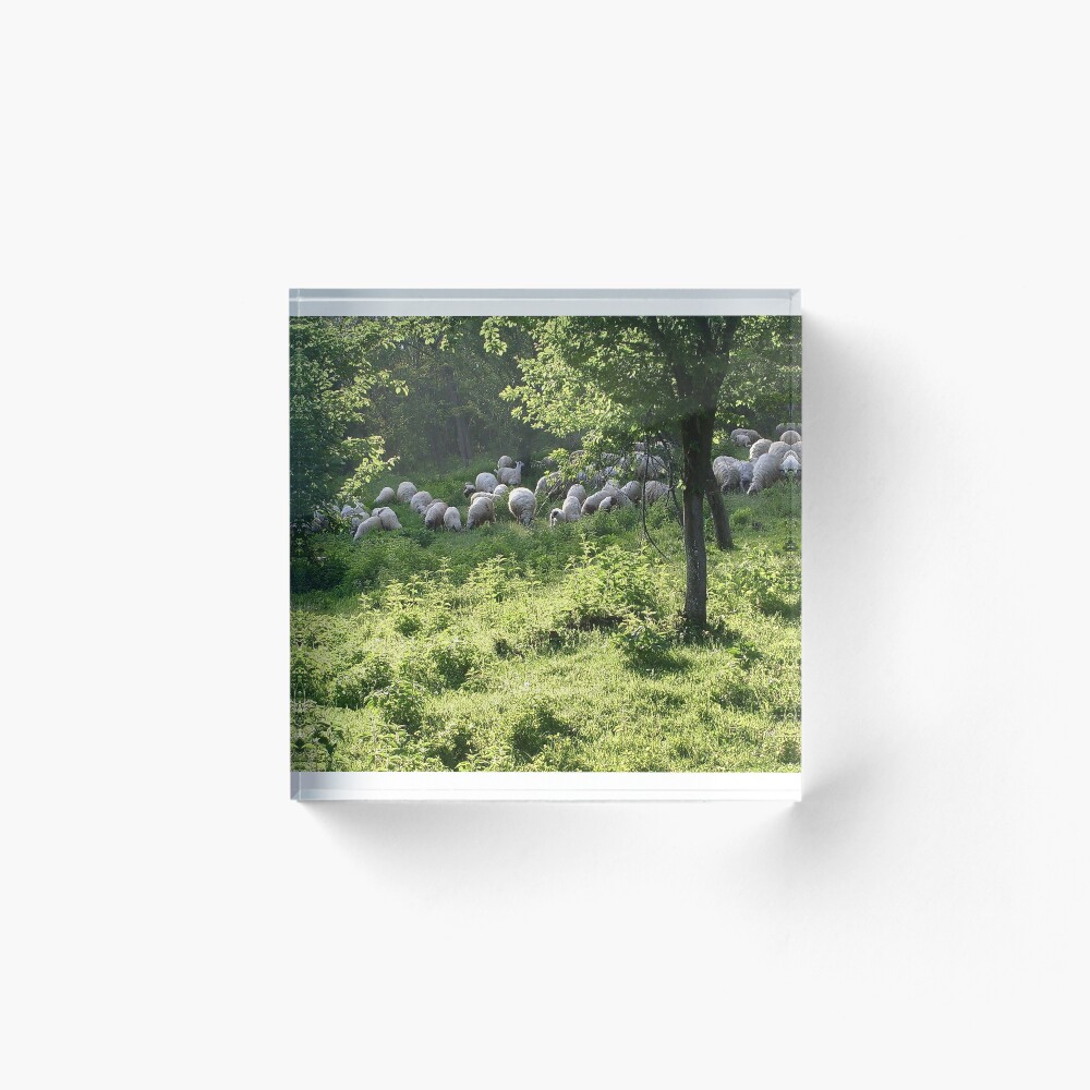 Item preview, Acrylic Block designed and sold by beleja.