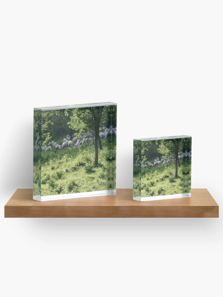 Thumbnail 3 of 5, Acrylic Block, Spring time designed and sold by Ana Belaj.
