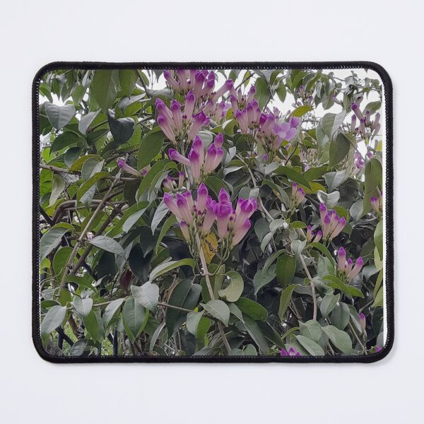 Item preview, Flowers for you designed and sold by 13-14jU.