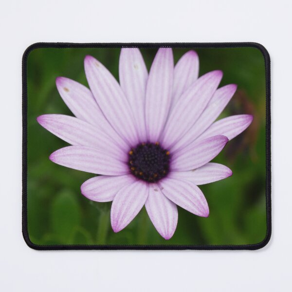 Item preview, Blue Flower St Michael's Mount Garden (April 2022) designed and sold by NebularNerd.