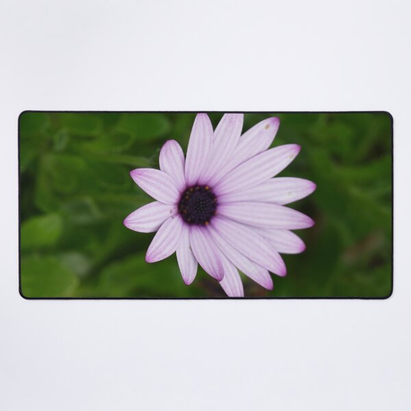 Item preview, Blue Flower St Michael's Mount Garden (April 2022) designed and sold by NebularNerd.
