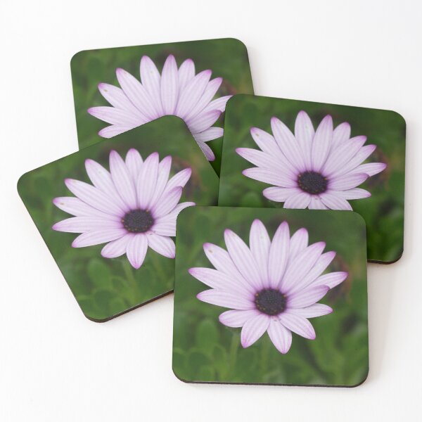 Item preview, Blue Flower St Michael's Mount Garden (April 2022) designed and sold by NebularNerd.