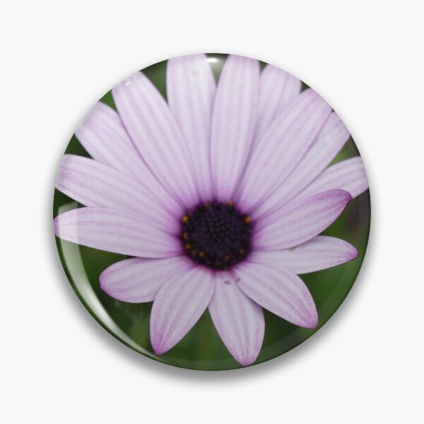 Item preview, Blue Flower St Michael's Mount Garden (April 2022) designed and sold by NebularNerd.