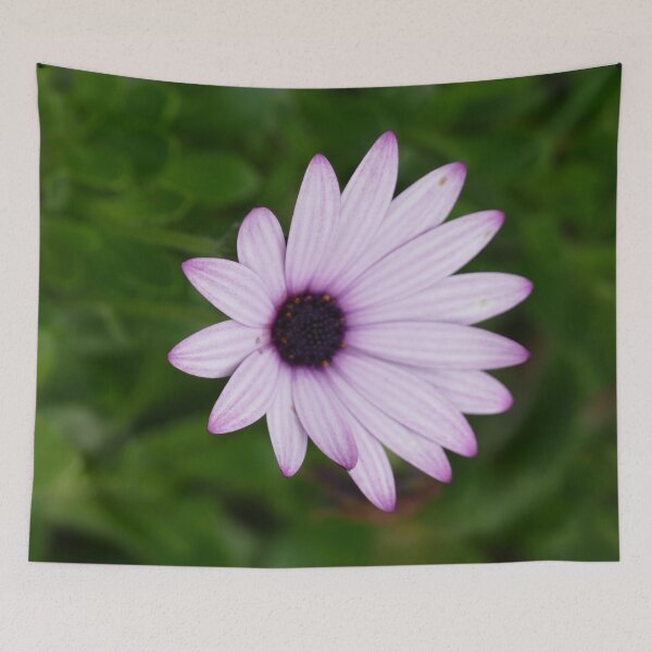 Item preview, Blue Flower St Michael's Mount Garden (April 2022) designed and sold by NebularNerd.