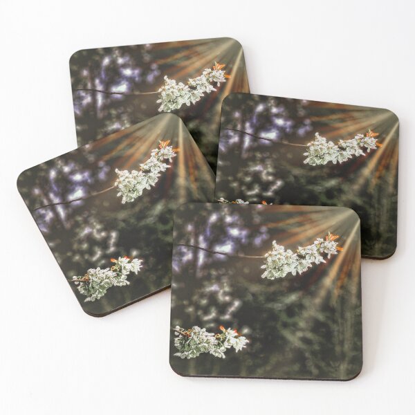 Item preview, Sneak Preview designed and sold by Steve Walser.