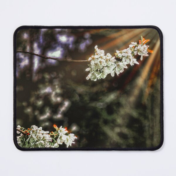 Item preview, Sneak Preview designed and sold by Steve Walser.