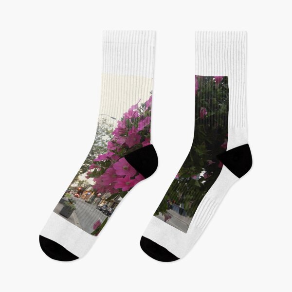 Item preview, Pink petunia flowers in hanging basket/Ontario /Canada designed and sold by VeenaNair23.