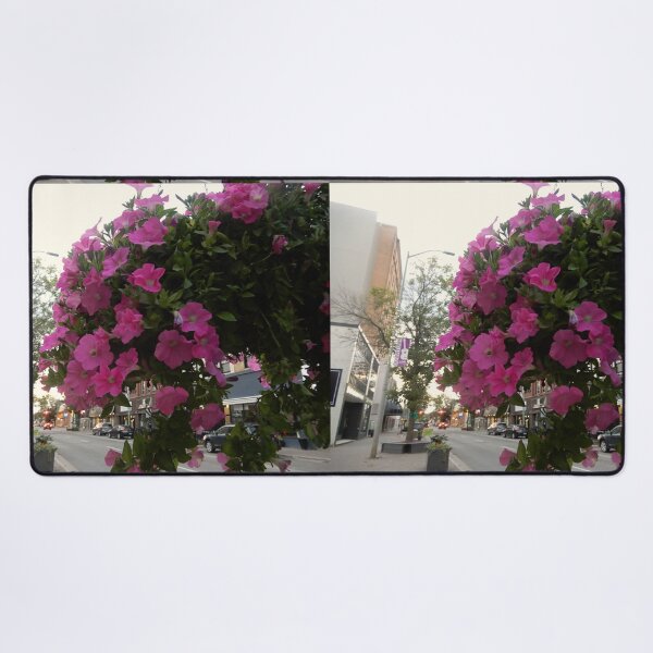 Item preview, Pink petunia flowers in hanging basket/Ontario /Canada designed and sold by VeenaNair23.