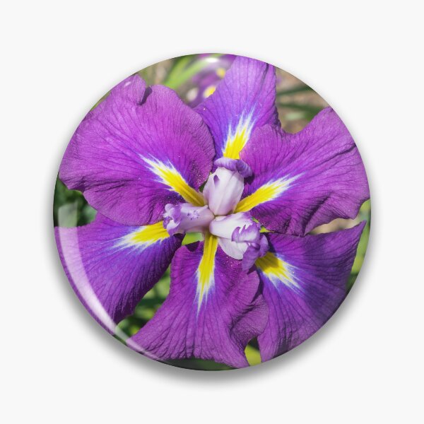 Item preview, Flamboyant Garden Gem - A Jewel Toned Japanese Iris in Bloom designed and sold by Georgia Mizuleva.