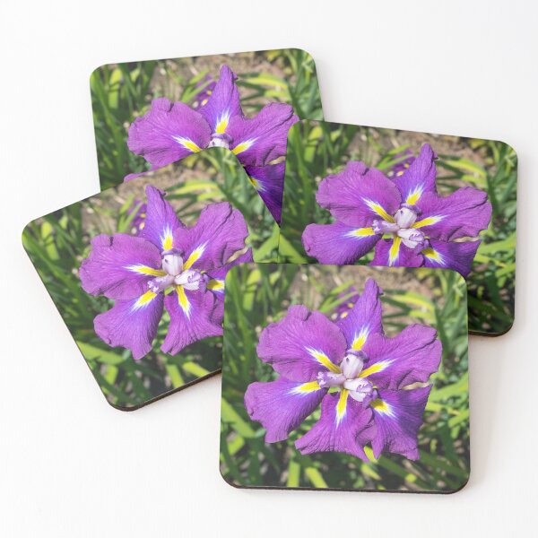 Item preview, Flamboyant Garden Gem - A Jewel Toned Japanese Iris in Bloom designed and sold by Georgia Mizuleva.