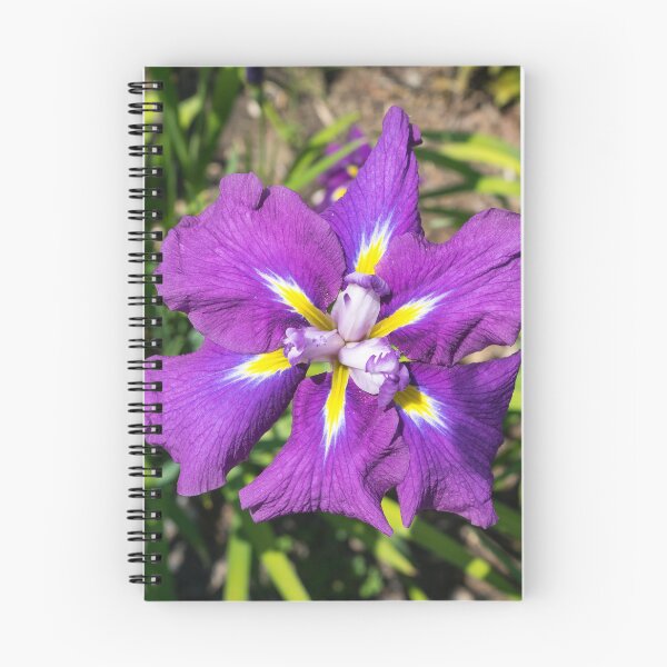 Item preview, Flamboyant Garden Gem - A Jewel Toned Japanese Iris in Bloom designed and sold by Georgia Mizuleva.