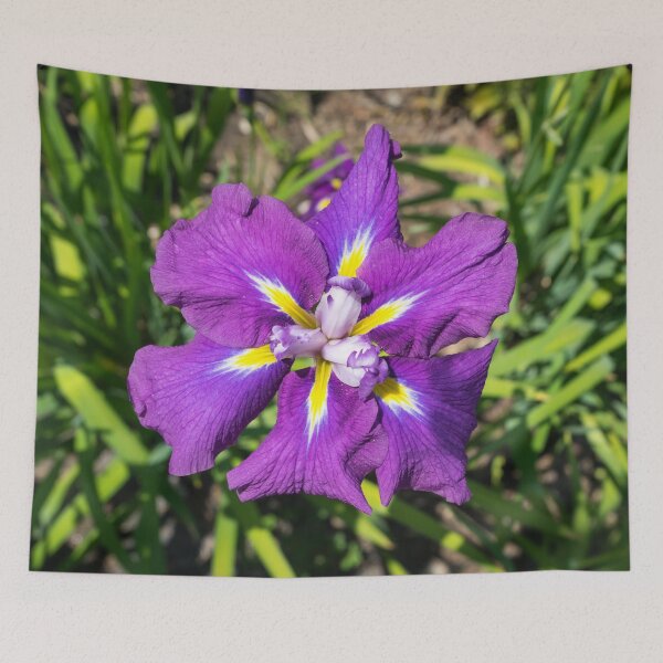 Item preview, Flamboyant Garden Gem - A Jewel Toned Japanese Iris in Bloom designed and sold by Georgia Mizuleva.