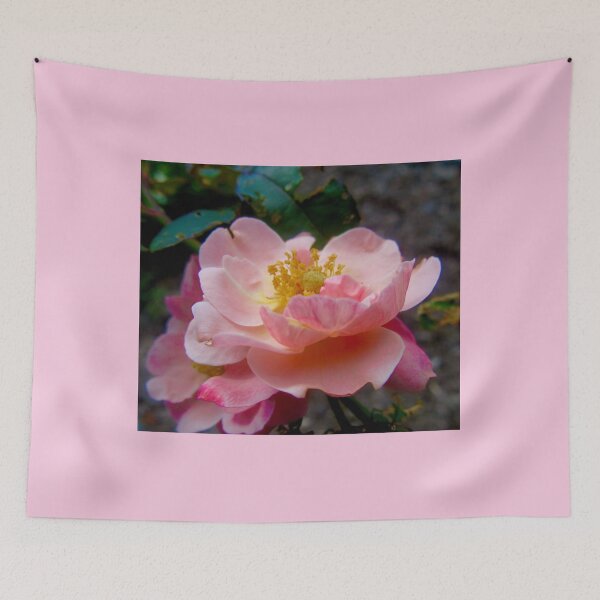 Item preview, Pink Rose designed and sold by Shulie1.