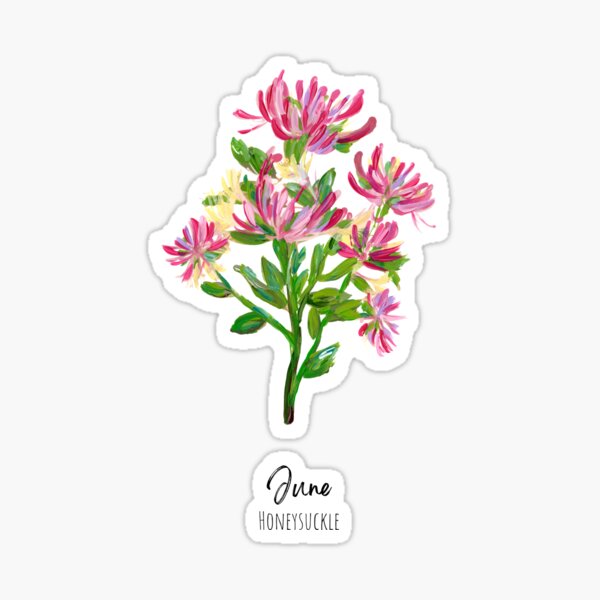 20 Birth Flowers For June Tattoo Design Ideas For Females   EntertainmentMesh