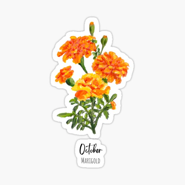 Item preview, October Birth Flower Marigold designed and sold by Roy & Tiffany.