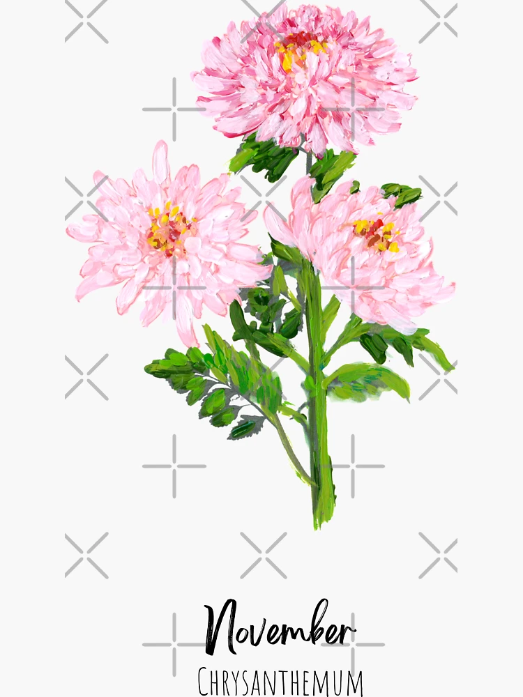 November Birth Flower Sticker: Chrysanthemum – The Redheaded Camel