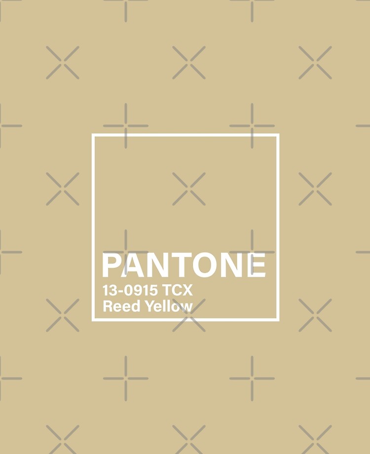 Pantone brown beige iPad Case & Skin for Sale by papillon-insula