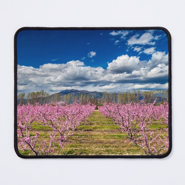Item preview, April is the "colorfulest" month designed and sold by Hercules Milas.