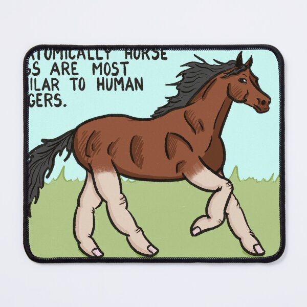Item preview, Horse Legs are Human Fingers designed and sold by rkegan12.