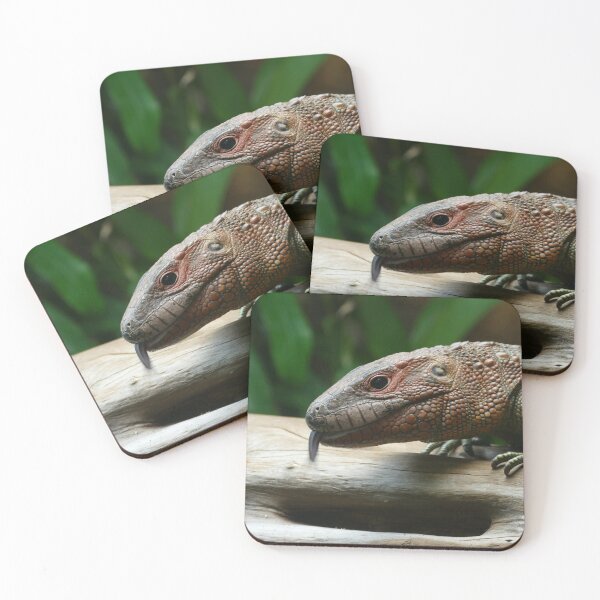 Item preview, Silly Iguana sticking its tongue out (Chester Zoo 2021) designed and sold by NebularNerd.