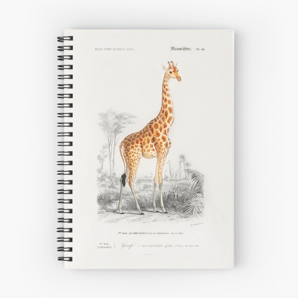 Item preview, Vintage Giraffe Illustration designed and sold by est1881.