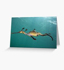 Another Day Another Dragon Greeting Card