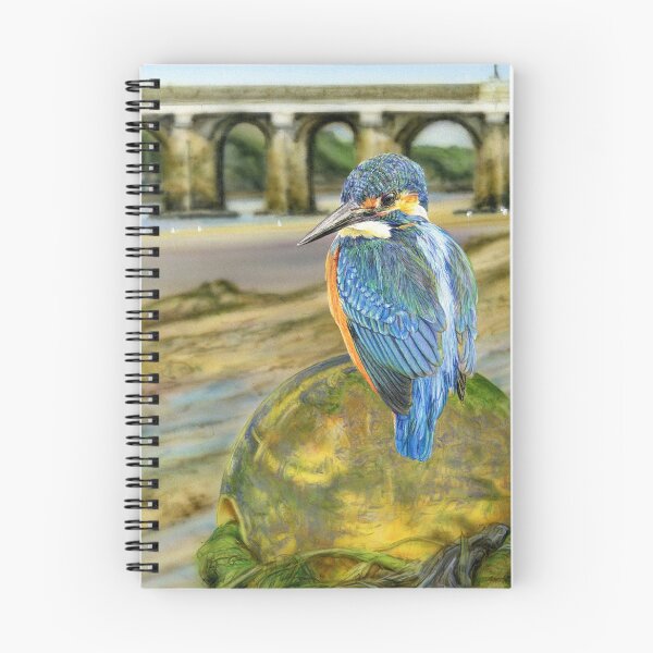 Item preview, Bideford Kingfisher designed and sold by Sharon J. Read - 'Lundy Spellbound'.