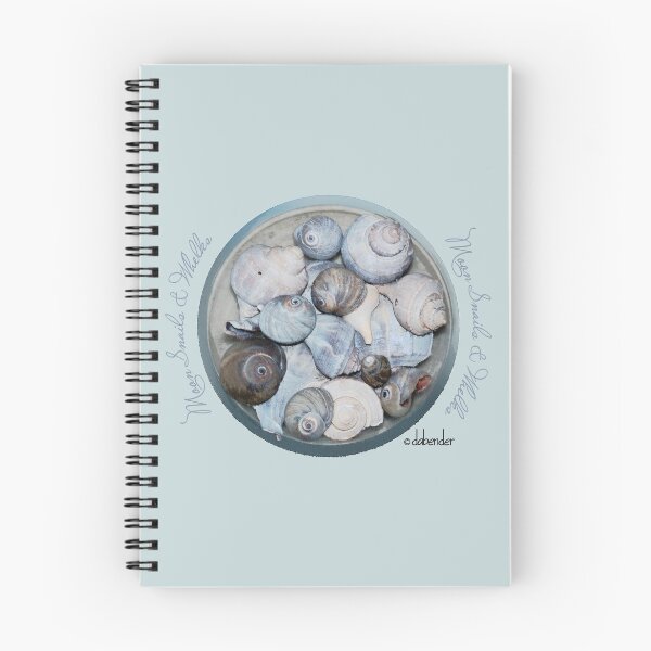 Item preview, Moon Snails & Whelks designed and sold by NatureNotes.