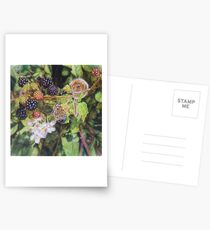 Dormouse / Hazel-mouse with Speckled wood butterfly Postcards